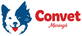 Convet Maringá